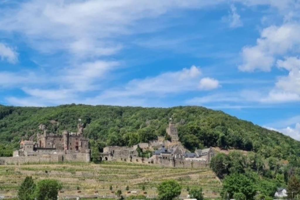 Wohnen Am Schoenen Mittelrhein Weltkulturerbe Oberwesel Bagian luar foto
